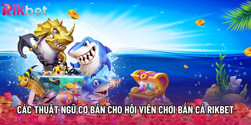 Các thuật ngữ cơ bản cho hội viên chơi bắn cá Rikbet Các thuật ngữ cơ bản cho hội viên chơi bắn cá Rikbet